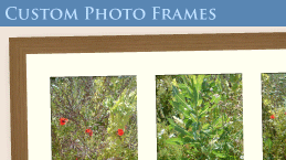 multi photo framing