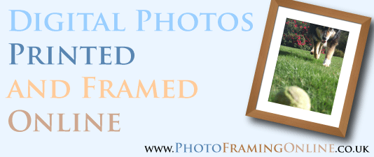 photo framing online ad