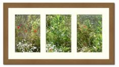 multi photo frame - triple frame frame